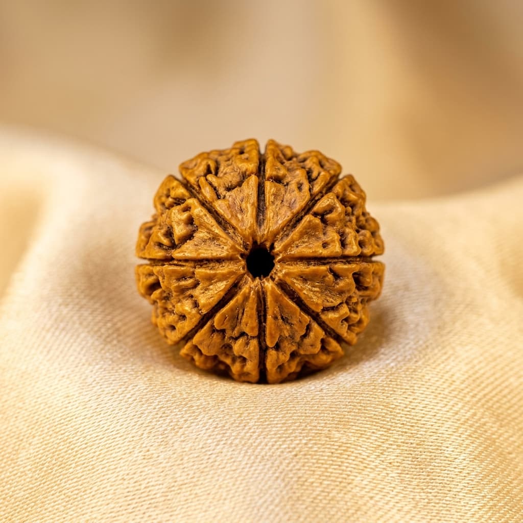 చతుర్ముఖి రుద్రాక్ష (4 Mukhi Rudraksha)